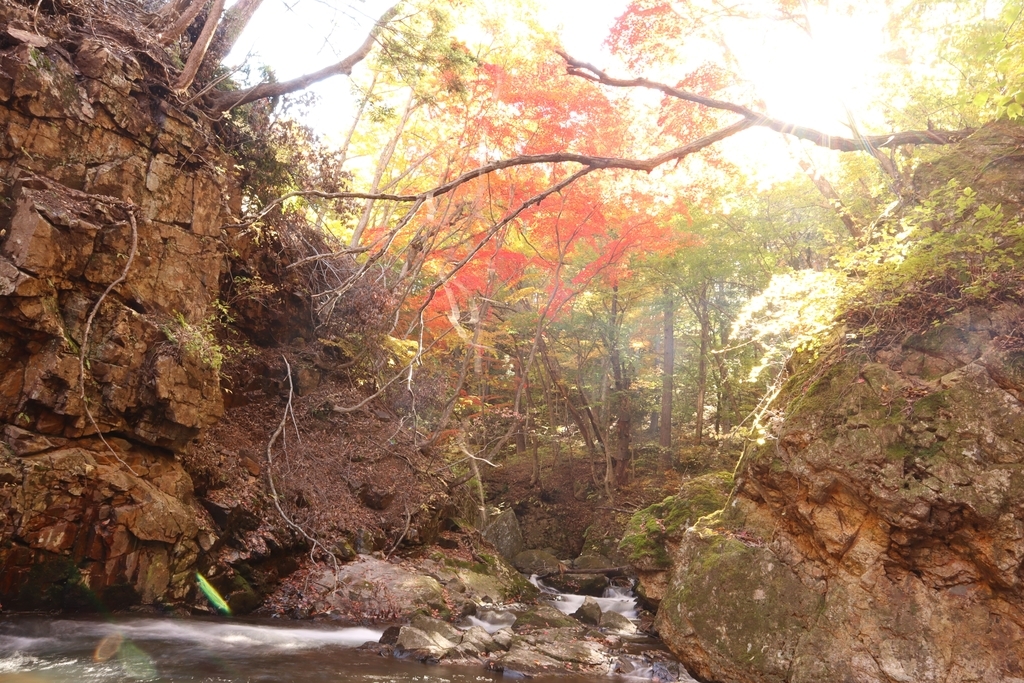 f:id:ddcamp:20181030220327j:plain f:id:ddcamp:20181030220327j:plain