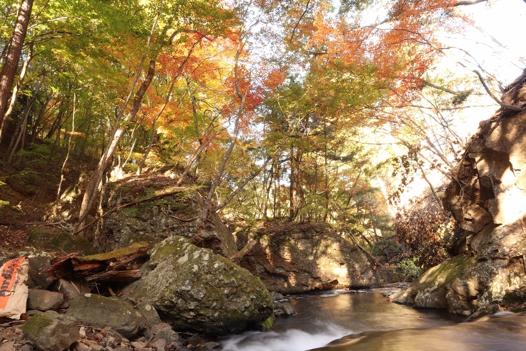 f:id:ddcamp:20181030220558j:plain f:id:ddcamp:20181030220558j:plain