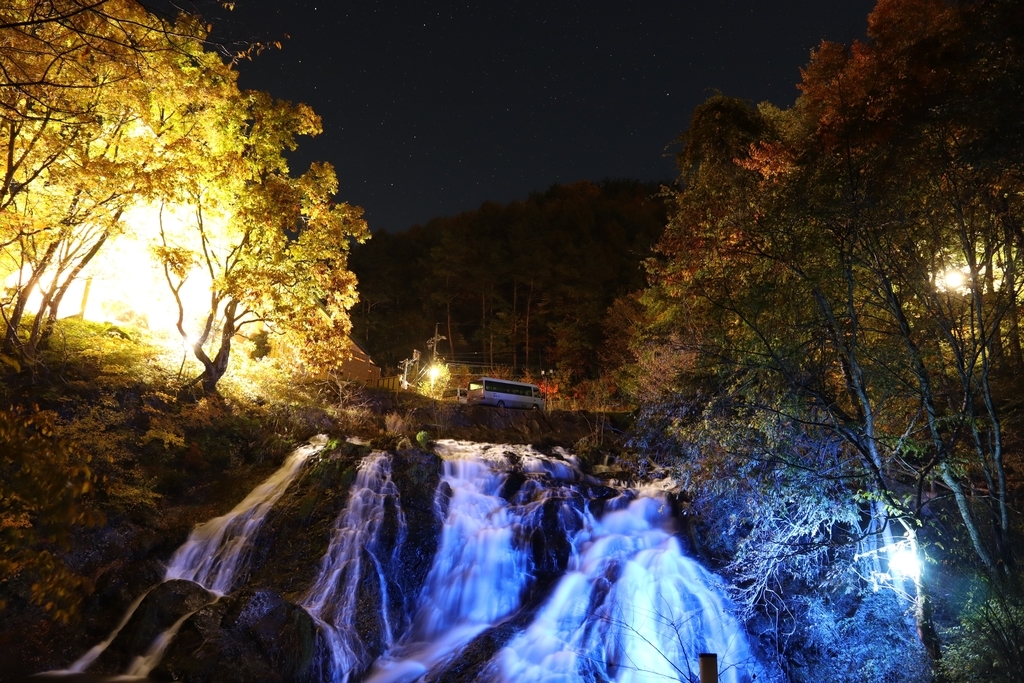 f:id:ddcamp:20181030222515j:plain f:id:ddcamp:20181030222515j:plain