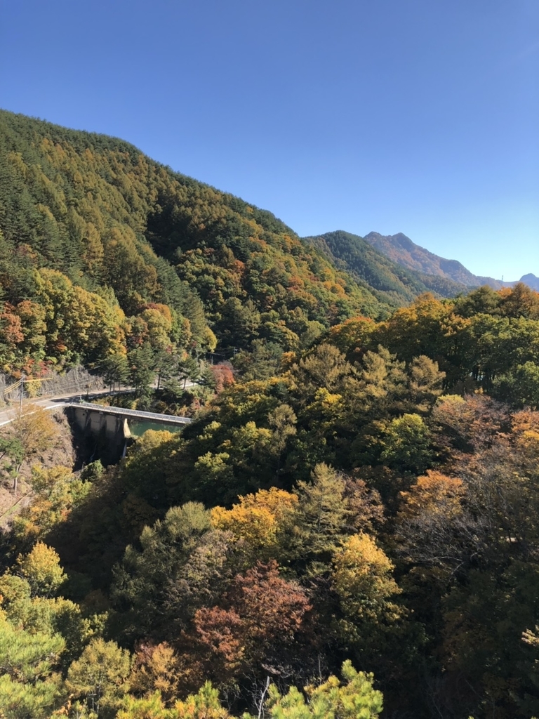 f:id:ddcamp:20181031214323j:plain f:id:ddcamp:20181031214323j:plain