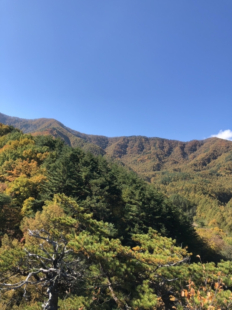 f:id:ddcamp:20181031214356j:plain f:id:ddcamp:20181031214356j:plain