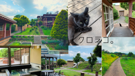f:id:ddd-ranmaru:20200616154434p:plain