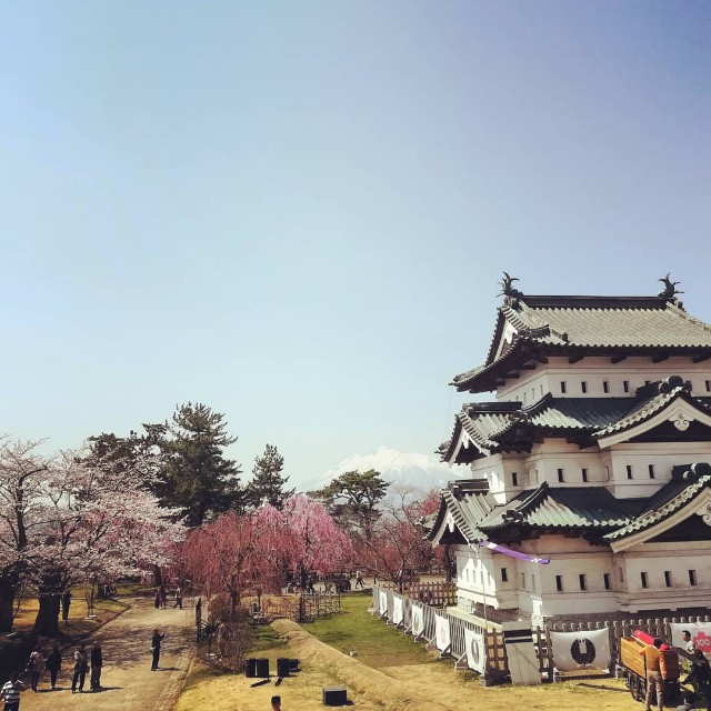 f:id:ddddaring:20180423213109j:plain f:id:ddddaring:20180423213109j:plain