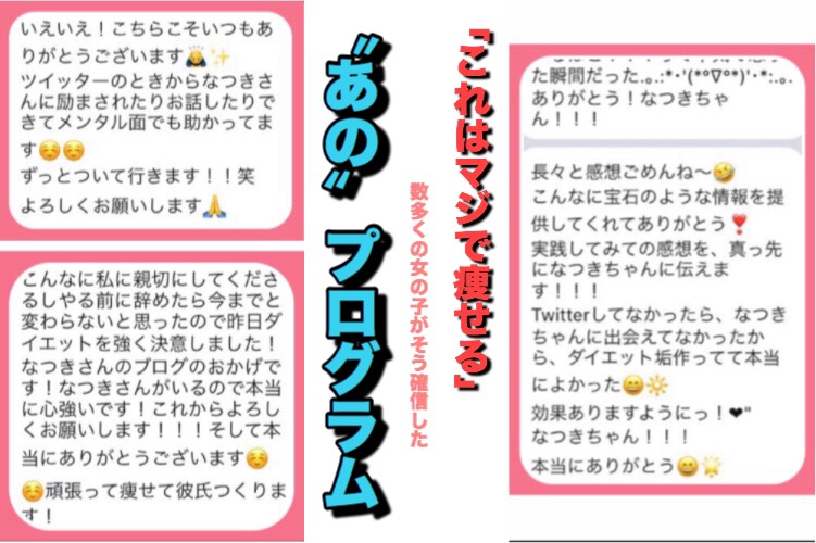 f:id:ddddiet:20190526211604j:plain f:id:ddddiet:20190526211604j:plain