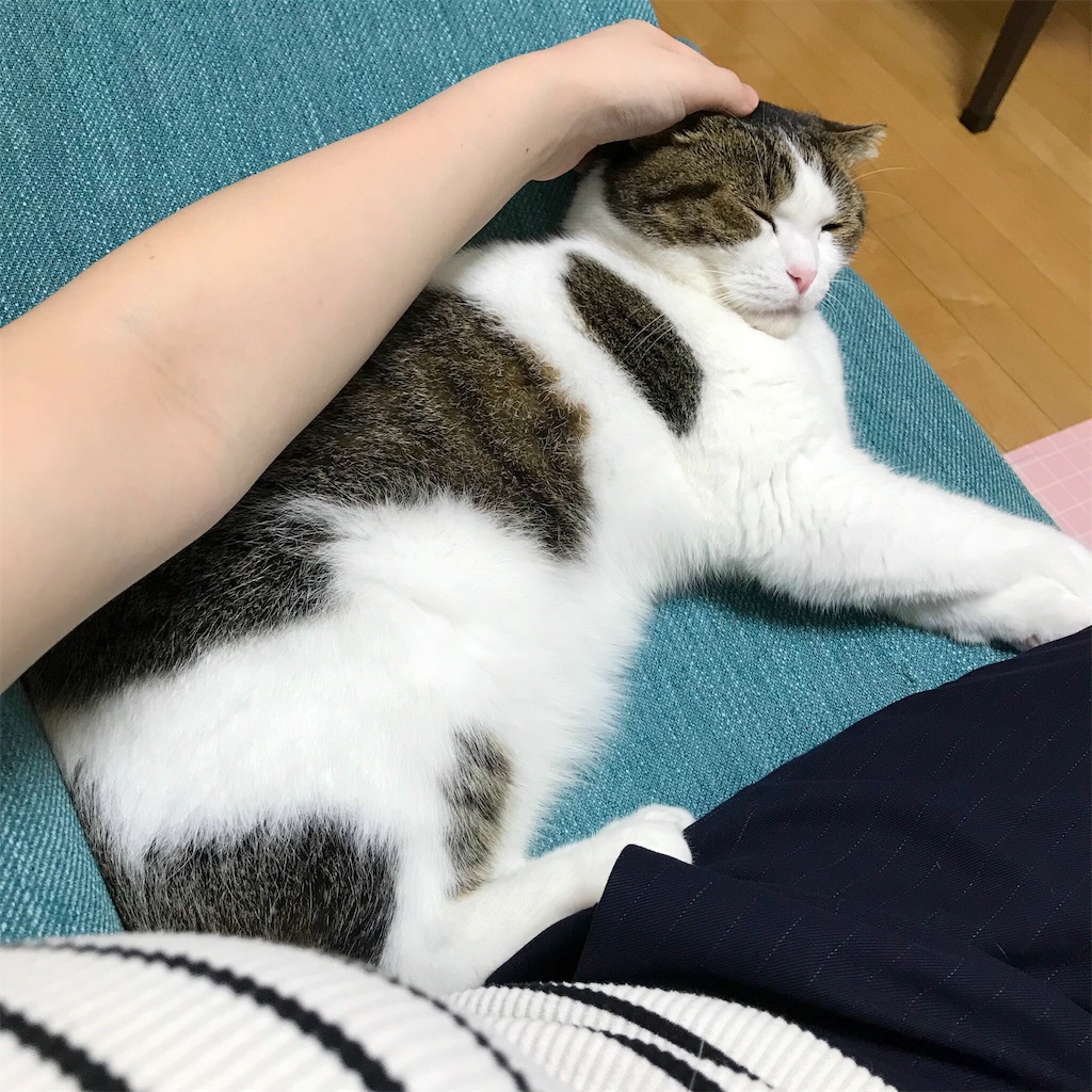 f:id:ddizumi:20191231165209j:image f:id:ddizumi:20191231165209j:image