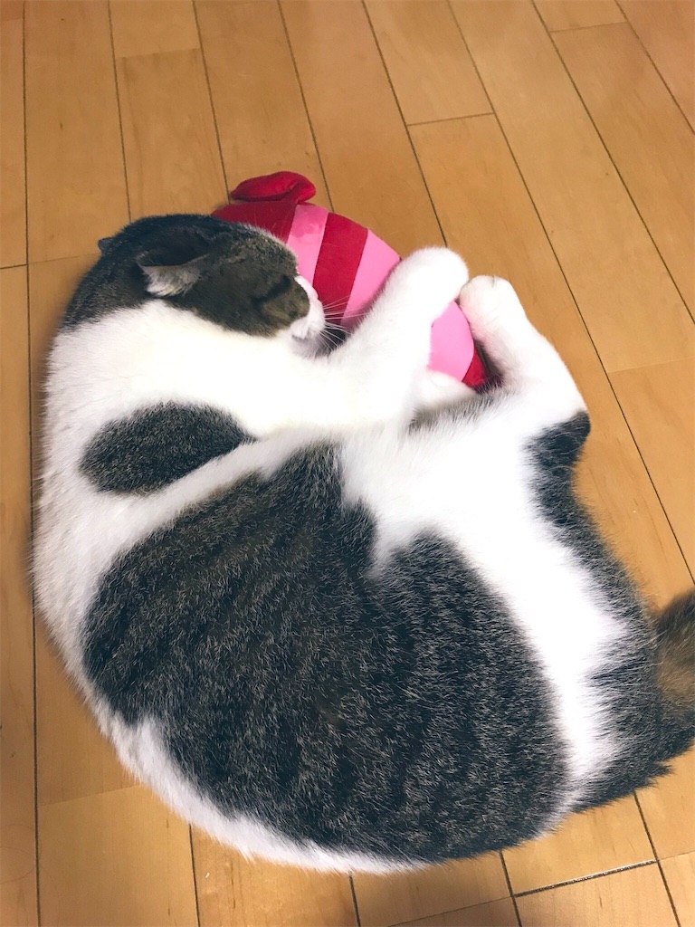 f:id:ddizumi:20191231165224j:image f:id:ddizumi:20191231165224j:image