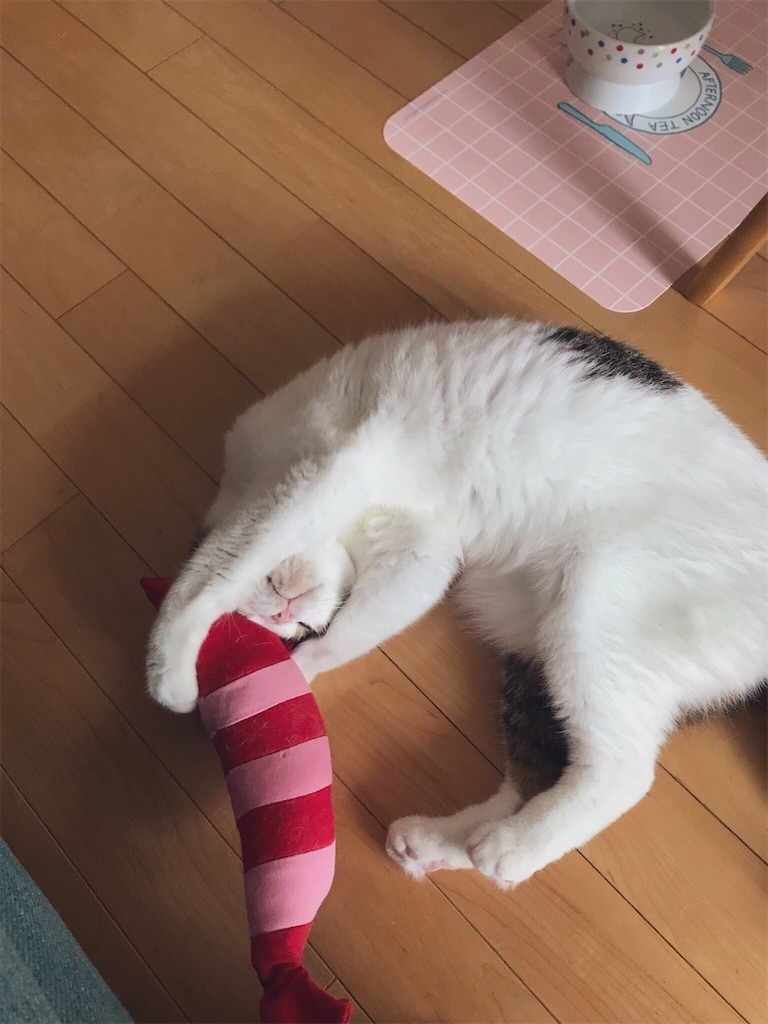 f:id:ddizumi:20191231165228j:image f:id:ddizumi:20191231165228j:image