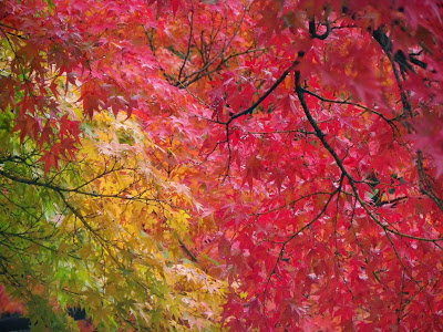 f:id:ddss_msv:20131030180813j:plain