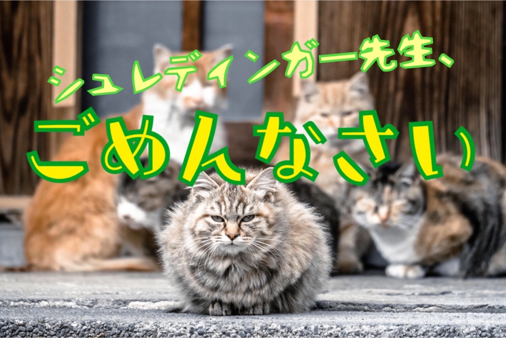 f:id:ddss_msv:20160312164831j:plain