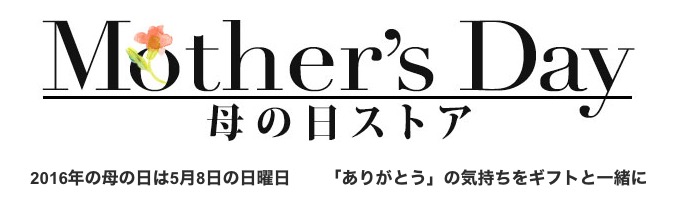 f:id:ddss_msv:20160507232938j:plain