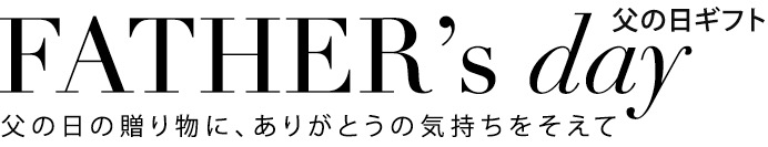 f:id:ddss_msv:20160618233818j:plain