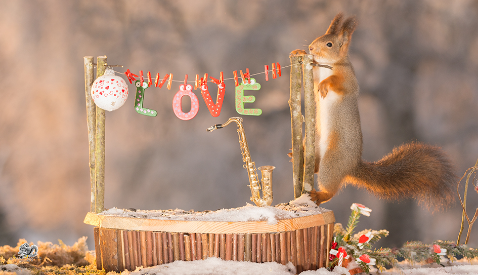 f:id:ddss_msv:20161217101147j:plain