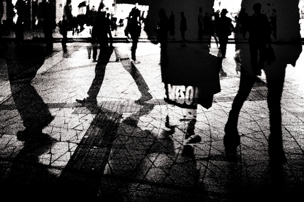 f:id:ddss_msv:20170217192534j:plain