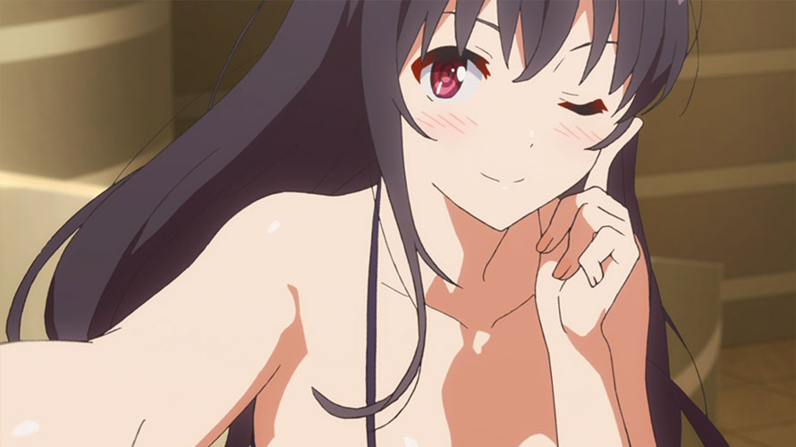 f:id:ddss_msv:20170407173001j:plain