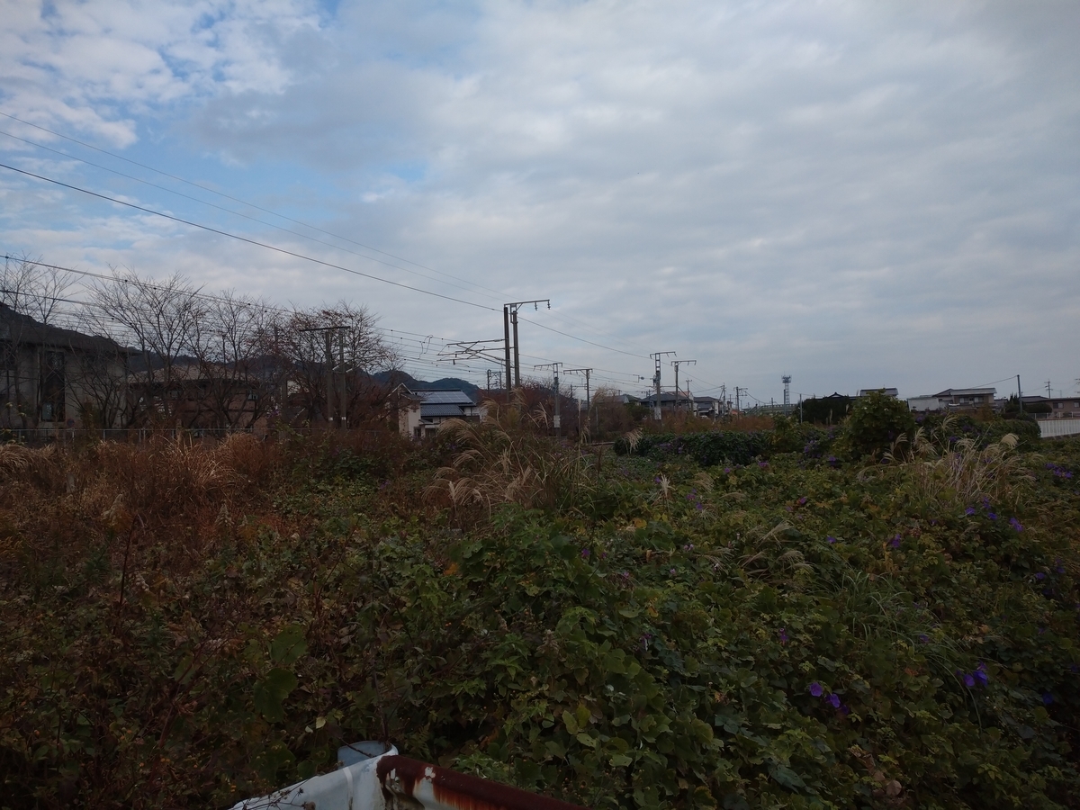 f:id:ddtoyohou99:20201123170325j:plain