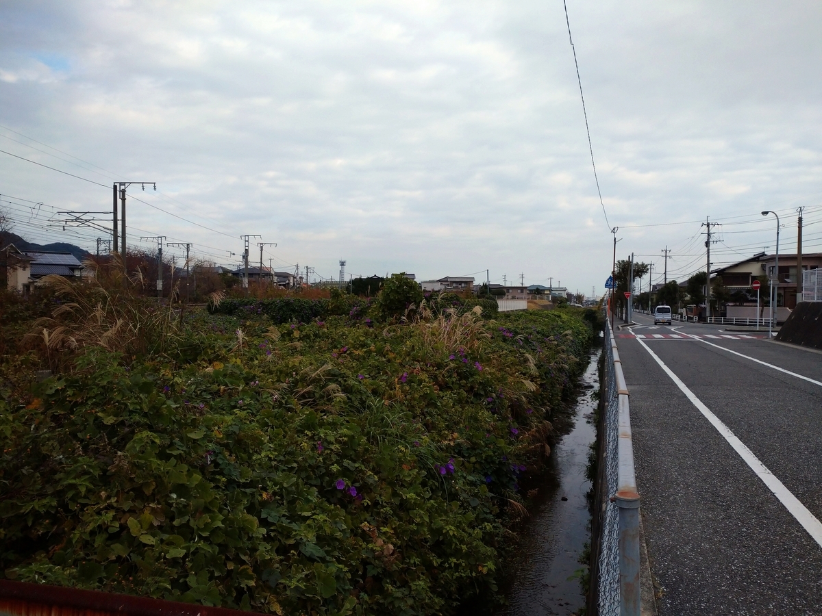 f:id:ddtoyohou99:20201123173255j:plain