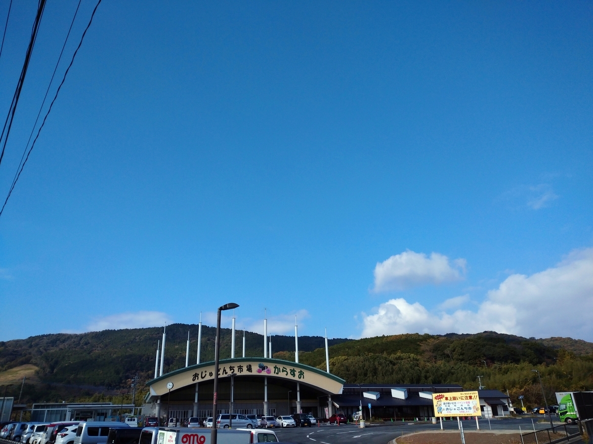 f:id:ddtoyohou99:20201202211803j:plain