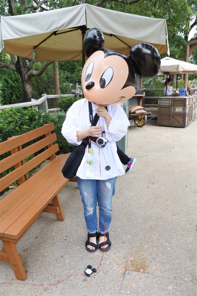 f:id:de_mu_chan:20171114122949j:image f:id:de_mu_chan:20171114122949j:image