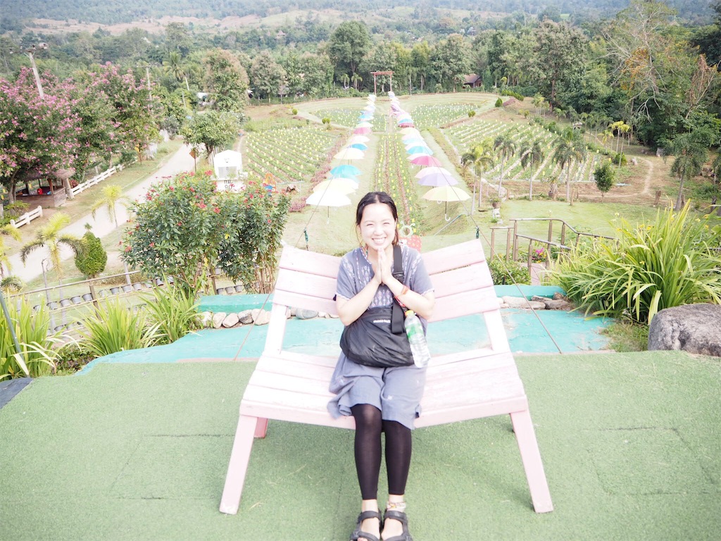 f:id:de_mu_chan:20171206234724j:image