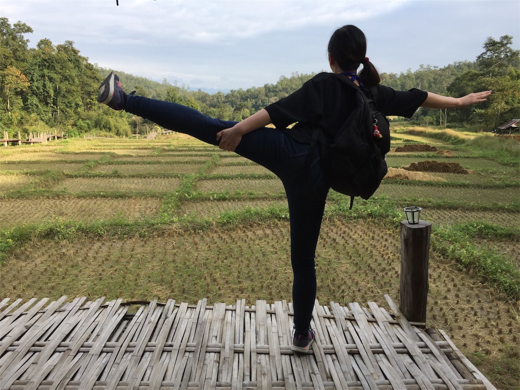 f:id:de_mu_chan:20171206235709j:image