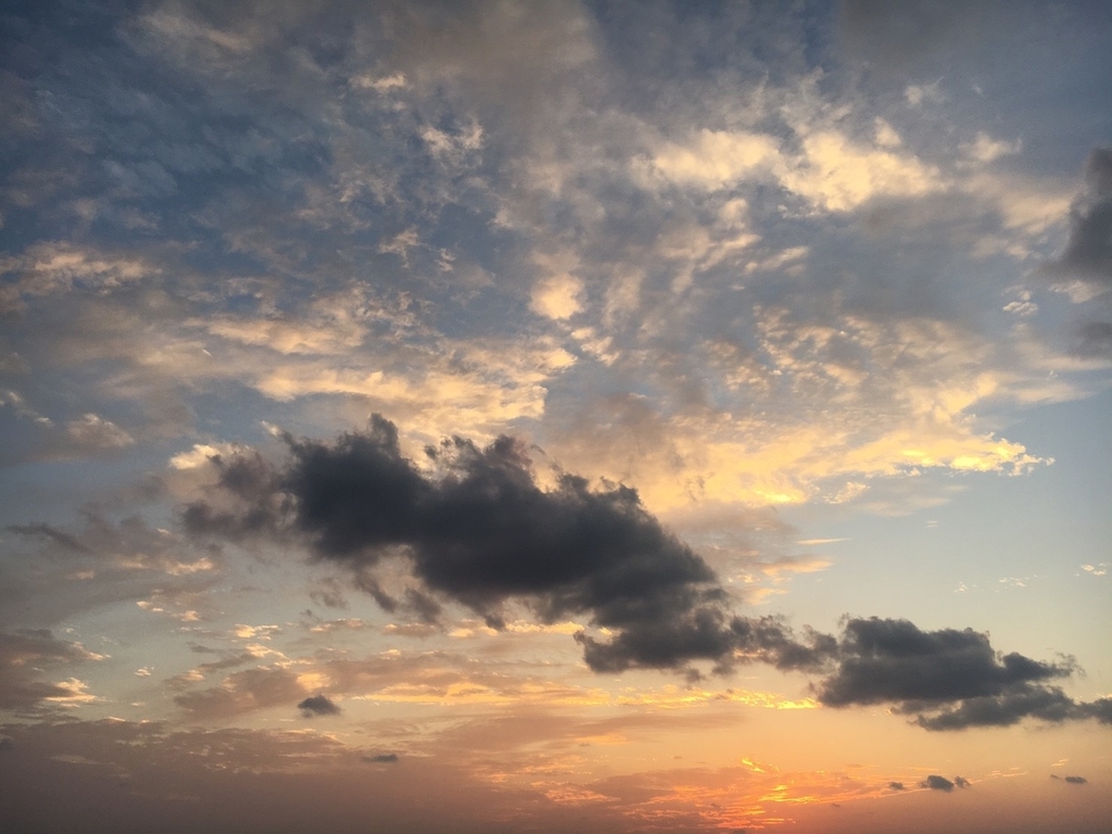 f:id:deadturtle:20190114233147j:plain