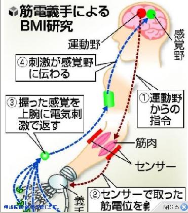 ｂｍｉ脳科学の最先端 筋電義手 神経信号読み取り再現の事 Deahiro S Blog