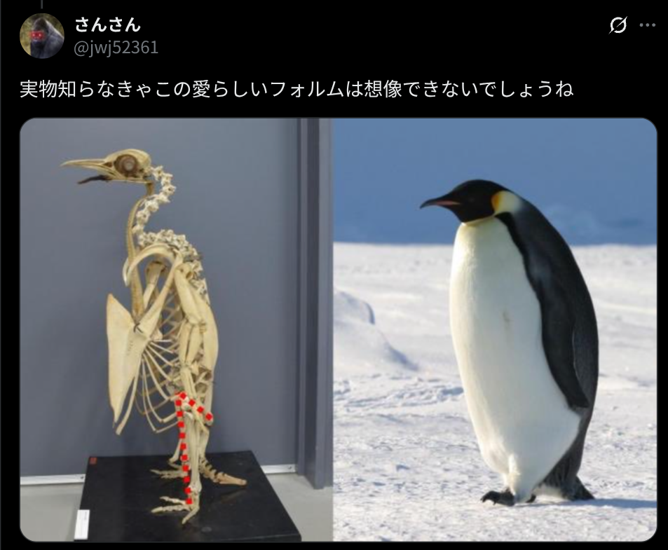 マッコウクジラの骨格を見る度に、この骨に身が付くとこんなのに