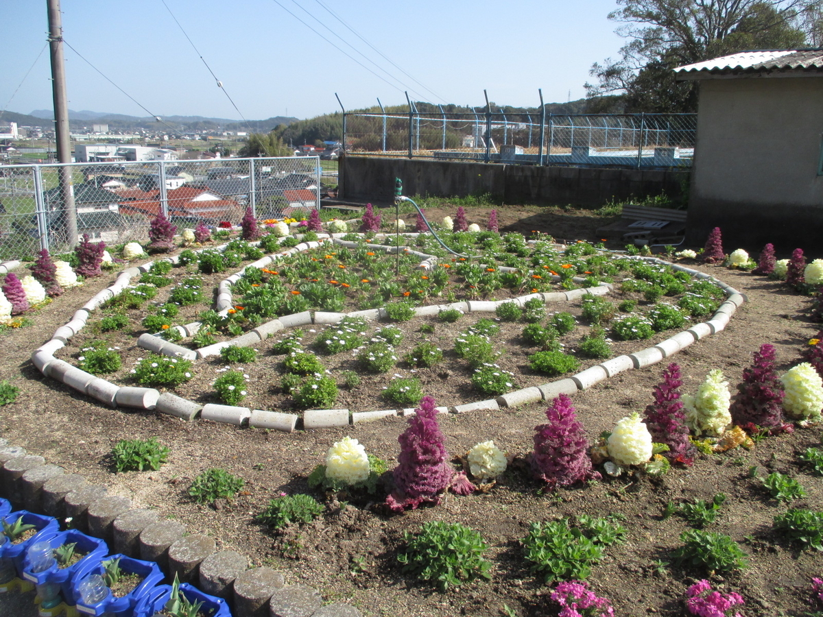 f:id:deaies:20210318150035j:plain