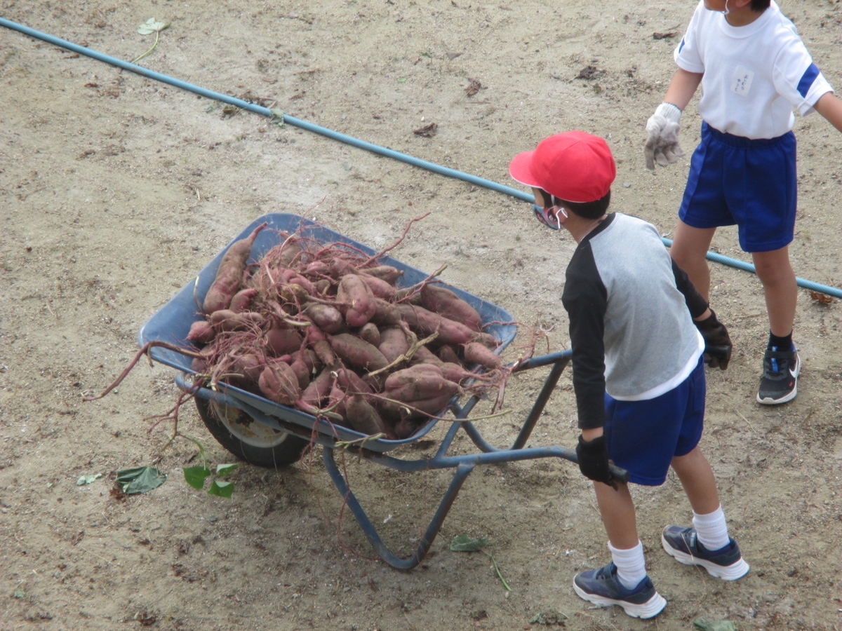 f:id:deaies:20211028204130j:plain