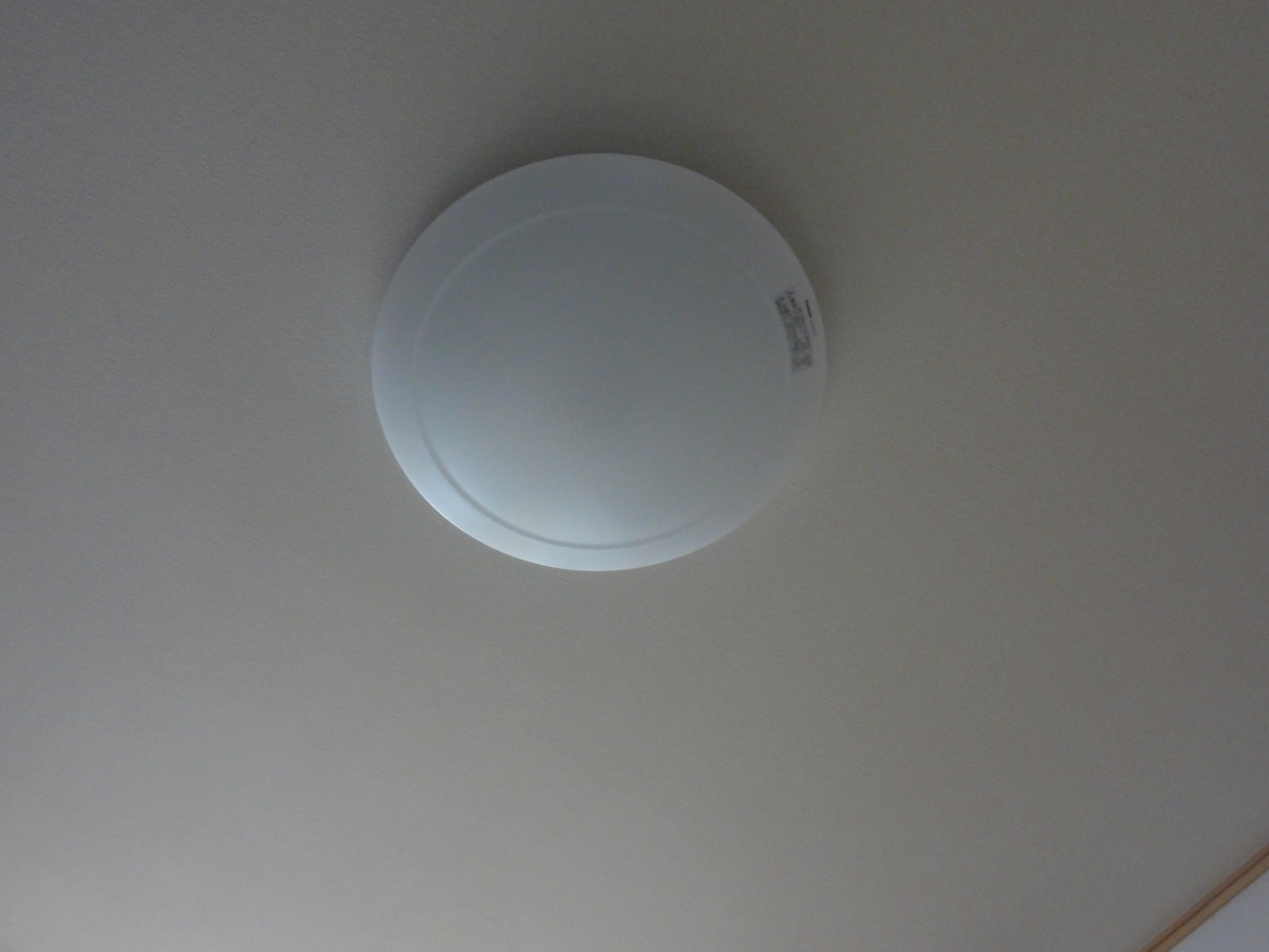 f:id:dearchocolate:20200302204204j:plain