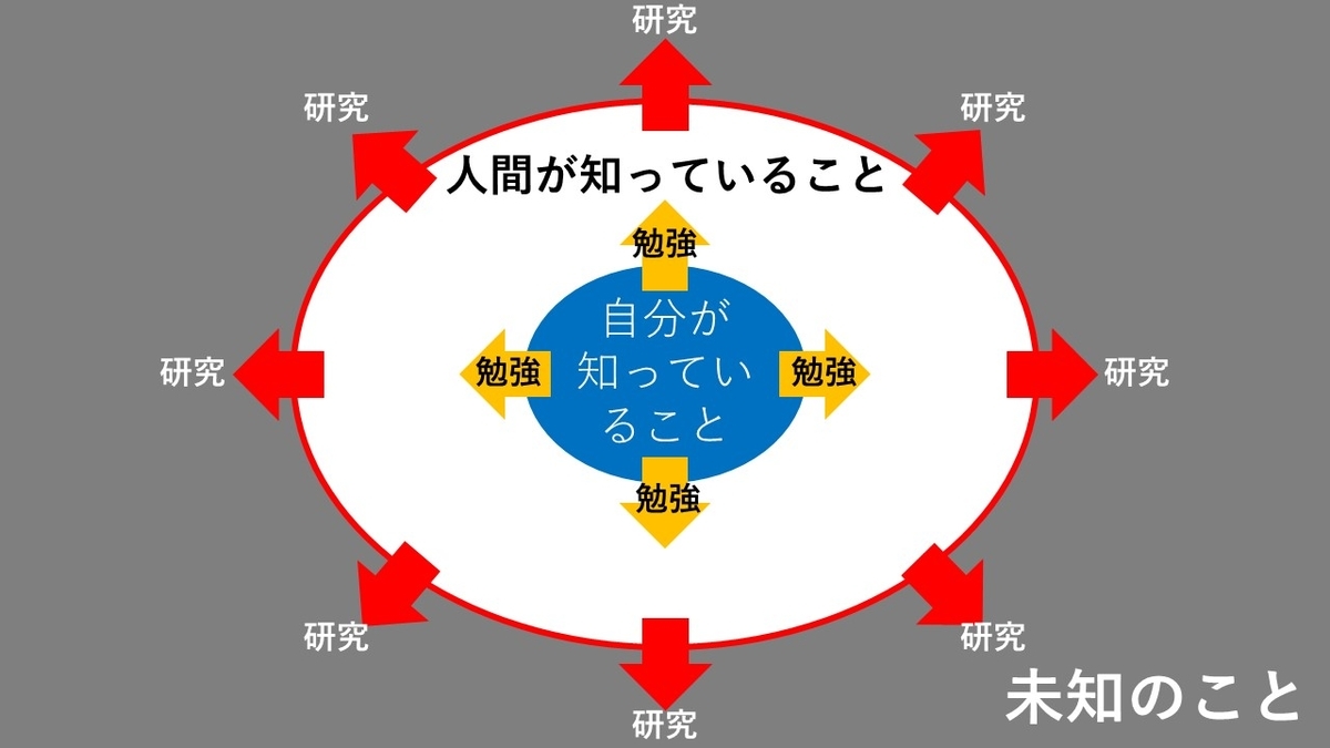 f:id:deardeer9215c:20190715225927j:plain