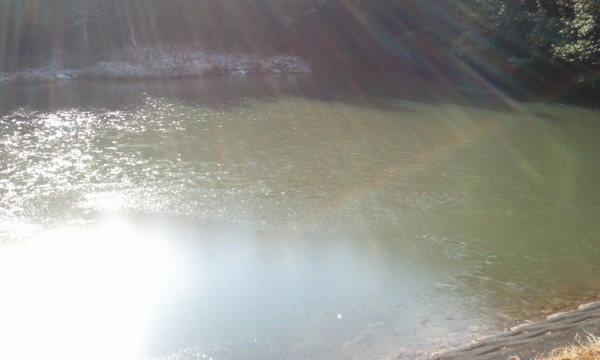 f:id:dearna:20110102102809j:image f:id:dearna:20110102102809j:image