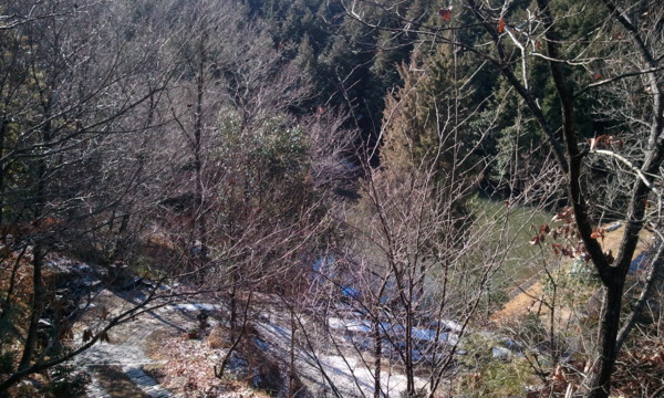 f:id:dearna:20110102103722j:image f:id:dearna:20110102103722j:image