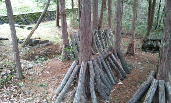 f:id:dearna:20110102145129j:image f:id:dearna:20110102145129j:image