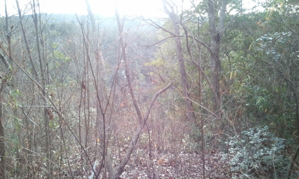 f:id:dearna:20110102152133j:image f:id:dearna:20110102152133j:image