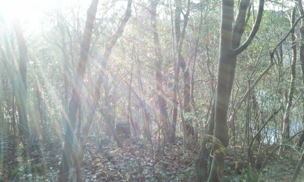 f:id:dearna:20110102153755j:image f:id:dearna:20110102153755j:image