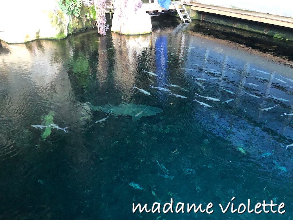 f:id:deb-log:20211228015834j:image