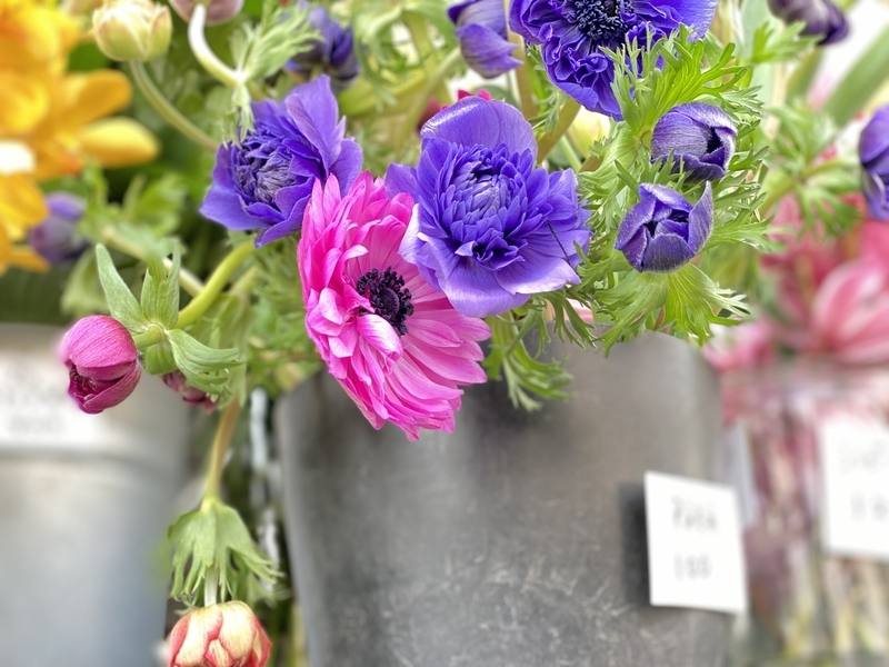 年末 お花屋さん で少し働いてみた Decent Work S Blog 年末 お花屋さん で少し働いてみた Decent Work S Blog
