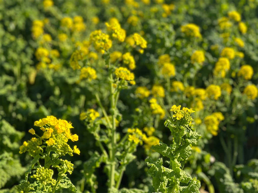 f:id:decent-work:20251230230756j:image f:id:decent-work:20251230230756j:image