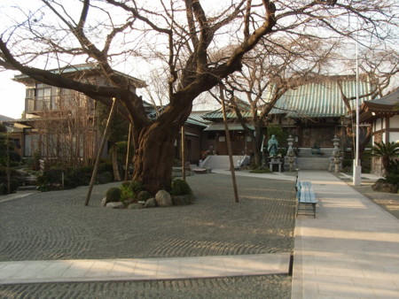 宗川寺の庭と本堂