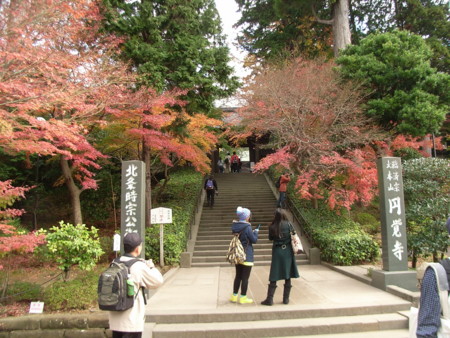 20101206092906