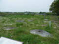 f:id:dechnozzi:20120430062854j:image:medium
