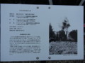 f:id:dechnozzi:20120430085331j:image:medium