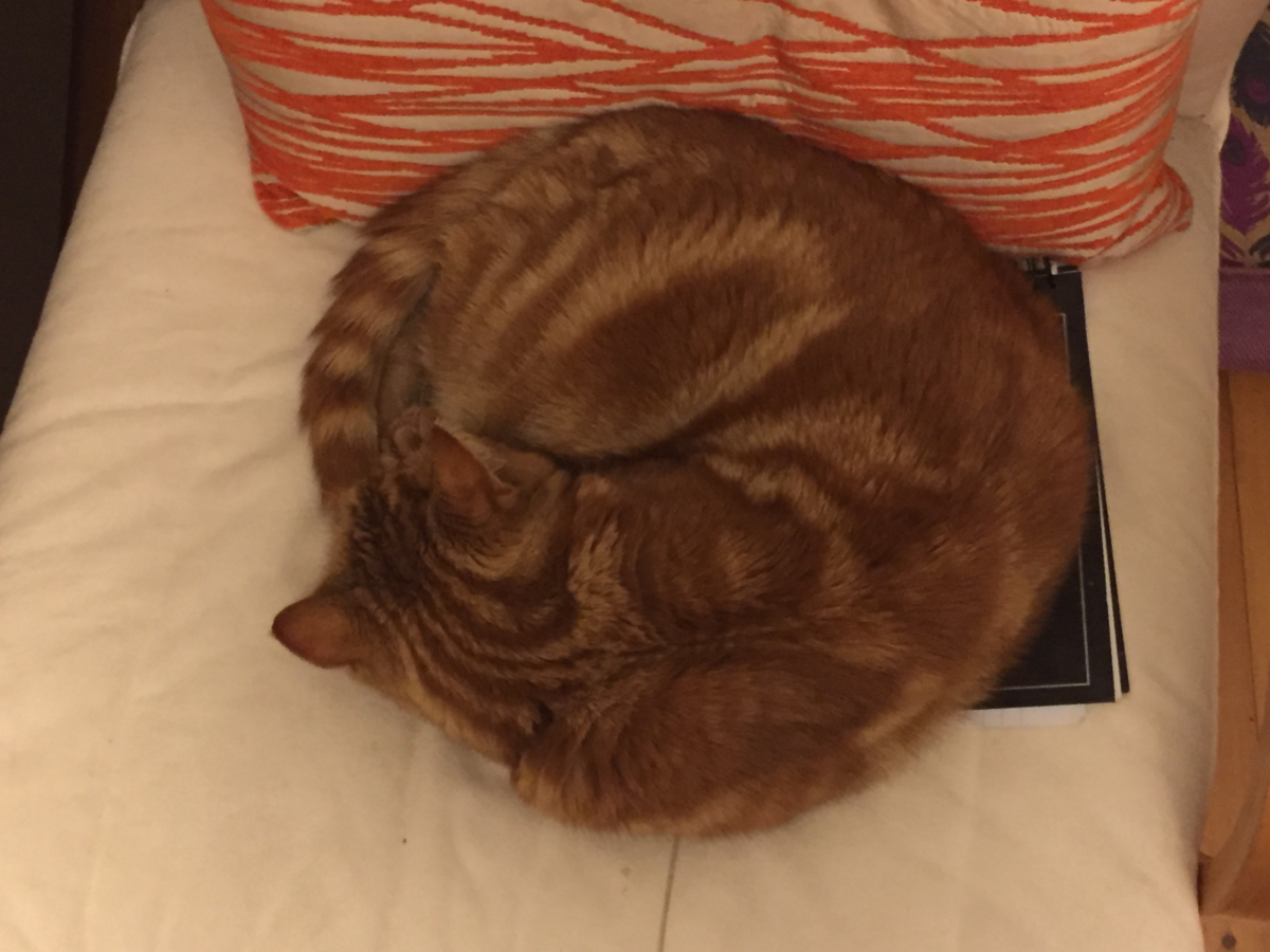 f:id:deciliterai:20190426000442p:plain