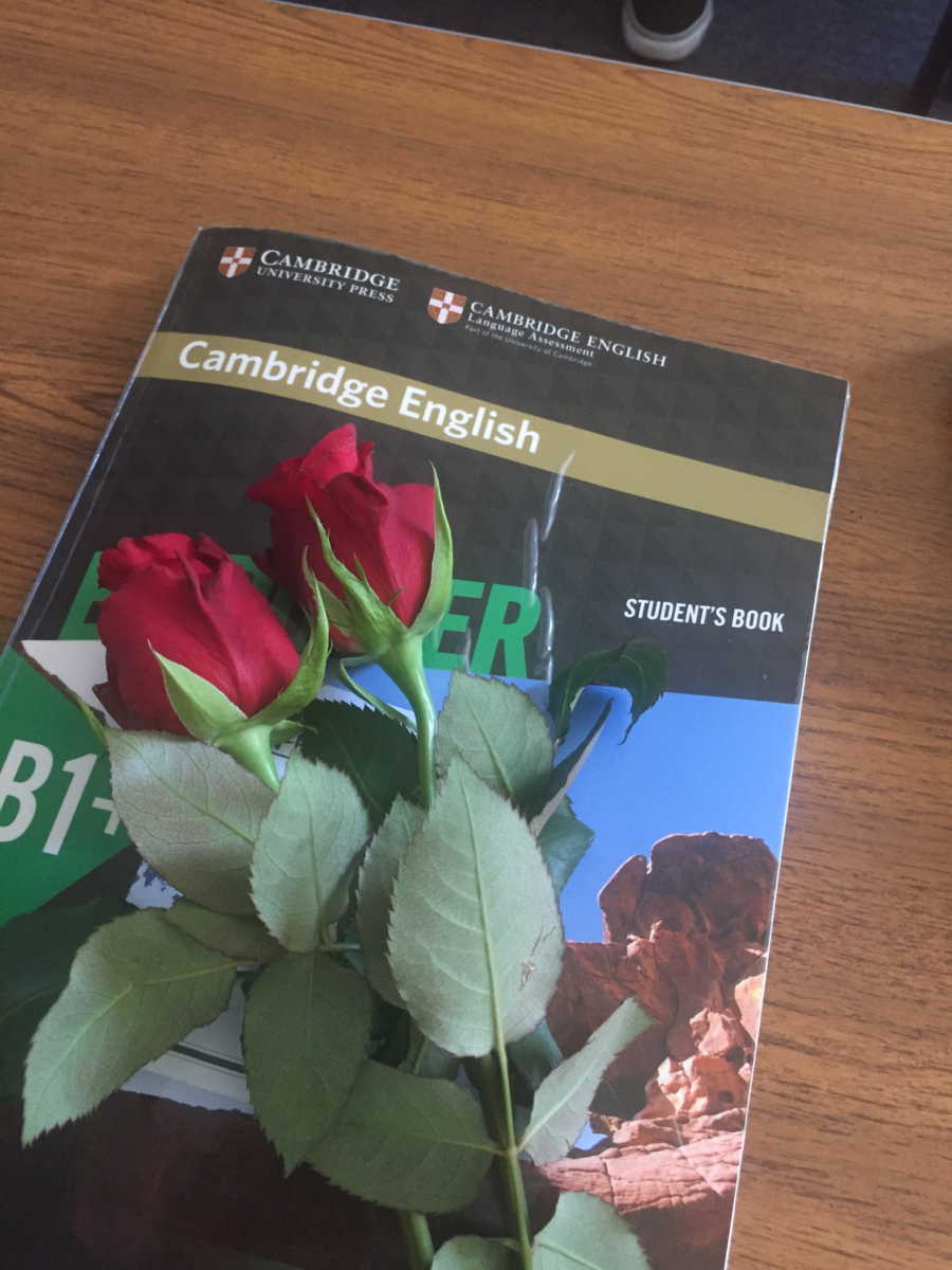 f:id:deciliterai:20190426000722p:plain