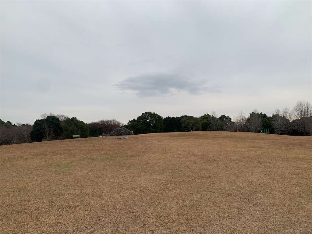 f:id:deciliterai:20201225220116j:plain