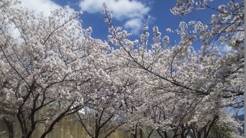 f:id:deco-noriko:20200411164905j:plain