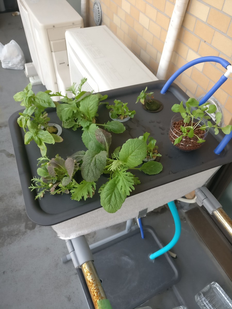 f:id:decobisu:20200809173809j:plain