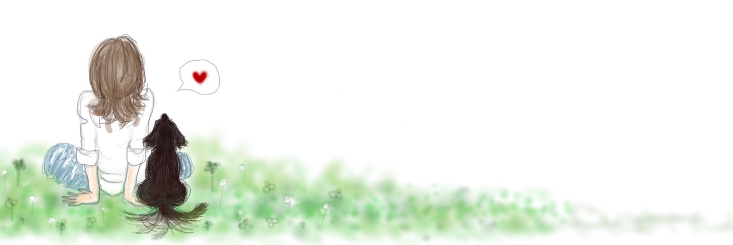 f:id:decobocode:20191018153518j:image