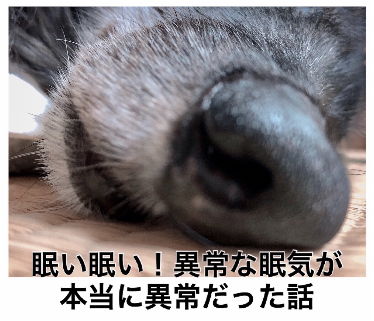 精神科医が解説 Adhd 注意欠如多動性障害 の症状 診断 治療 こころみ医学元住吉こころみクリニック 内科 呼吸器内科 心療内科